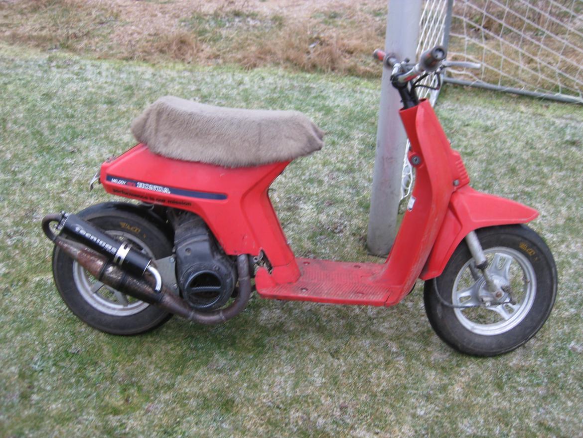 Honda Melody Mini billede 1