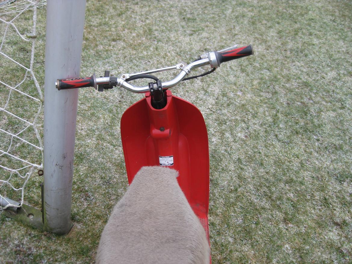 Honda Melody Mini billede 7