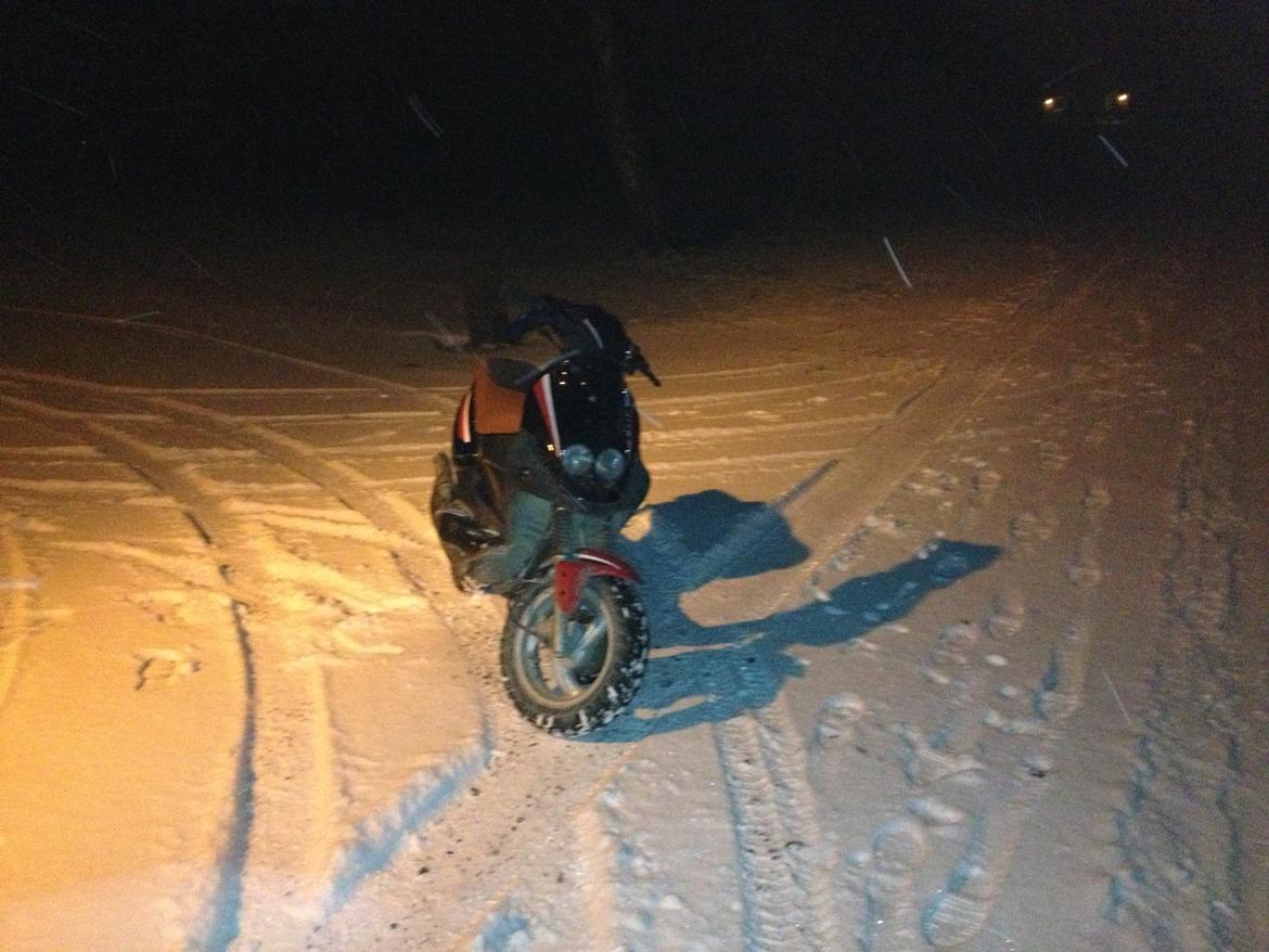 PGO pmx sport billede 3