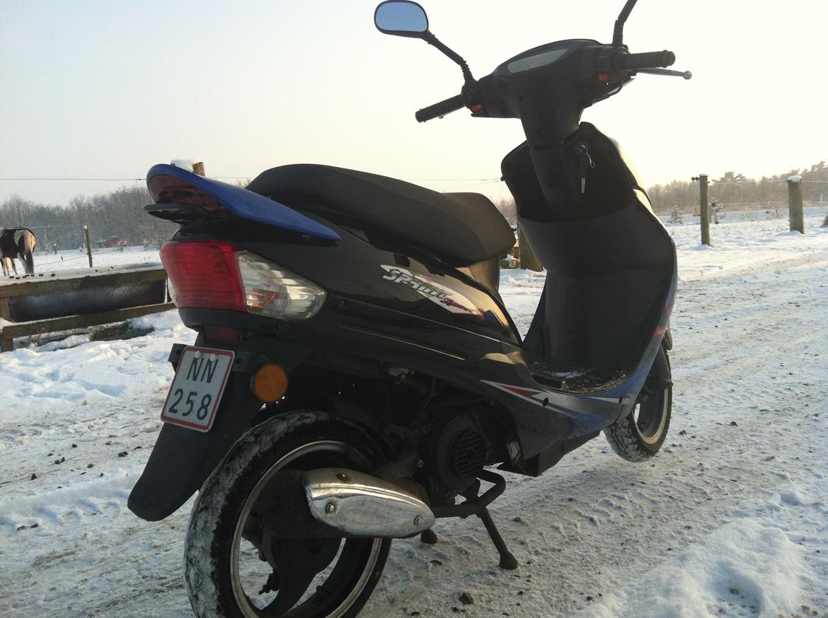 Giantco Sprint [$ SOLGT $] billede 5