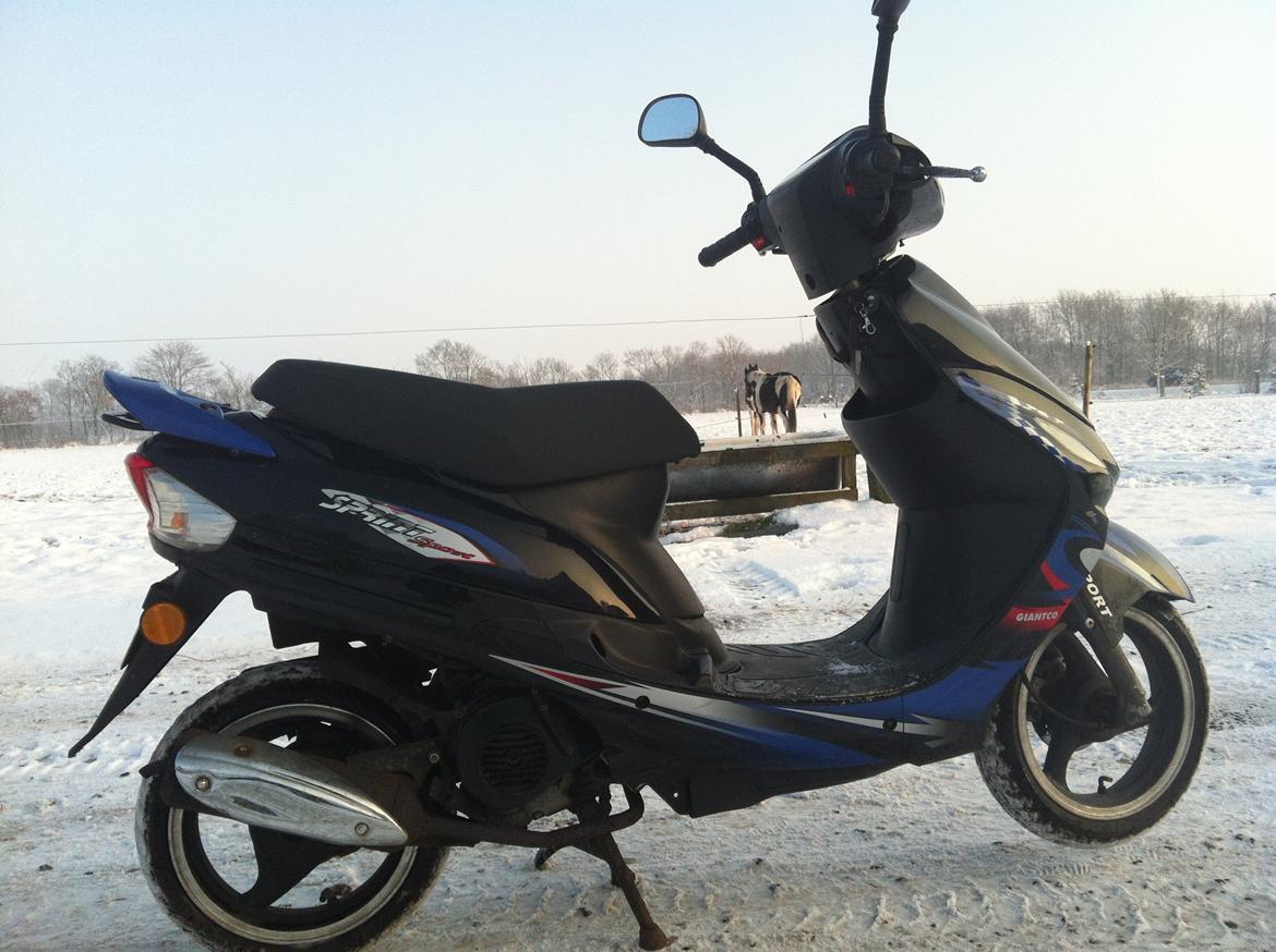 Giantco Sprint [$ SOLGT $] billede 6