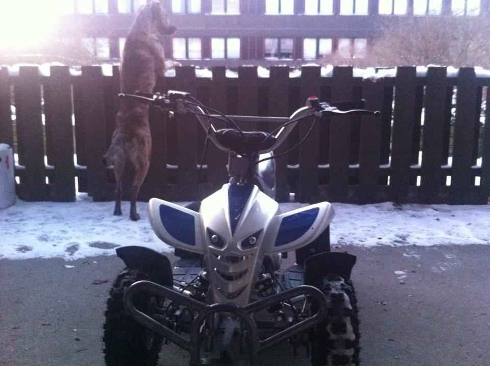 MiniBike 49cc Mini Atv $olgt for 800 billede 1