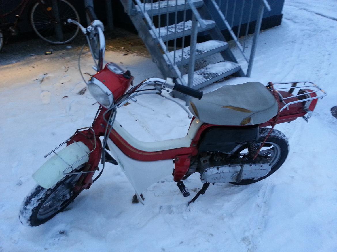 Suzuki Fjederbabs (fz50) billede 1
