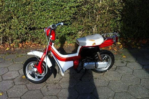 Suzuki Fjederbabs (fz50) billede 2