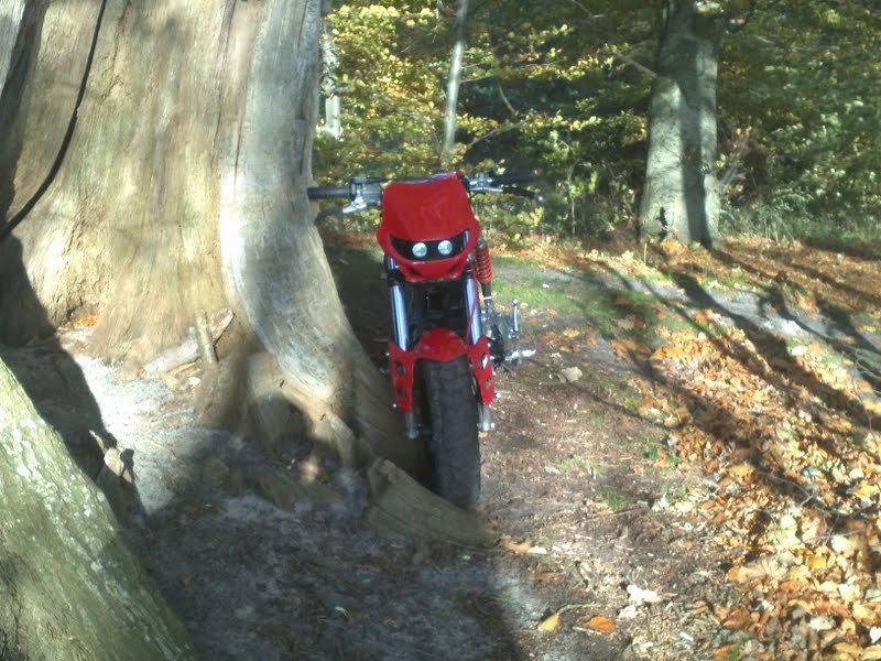 Suzuki Street Magic billede 9