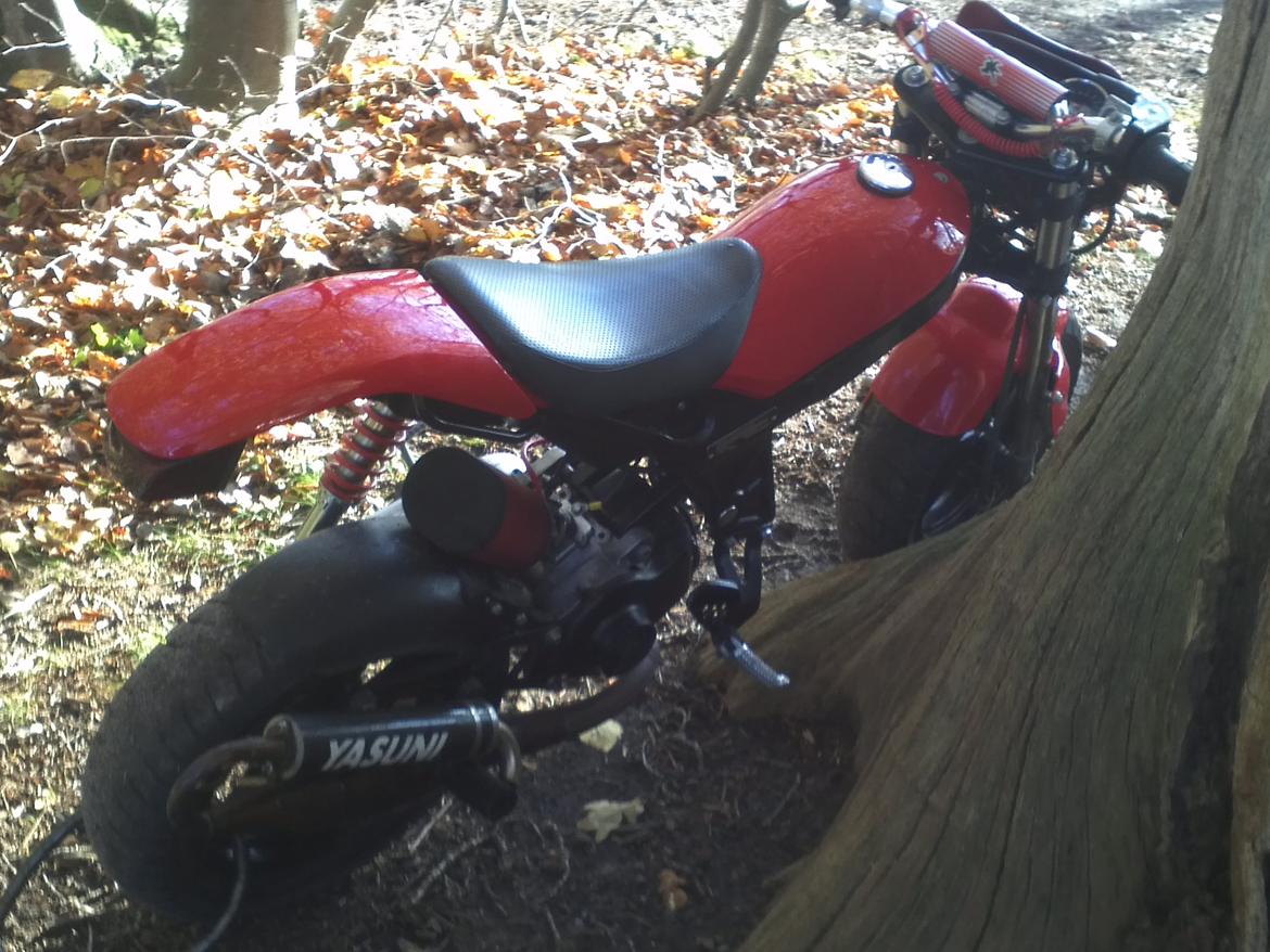 Suzuki Street Magic billede 10