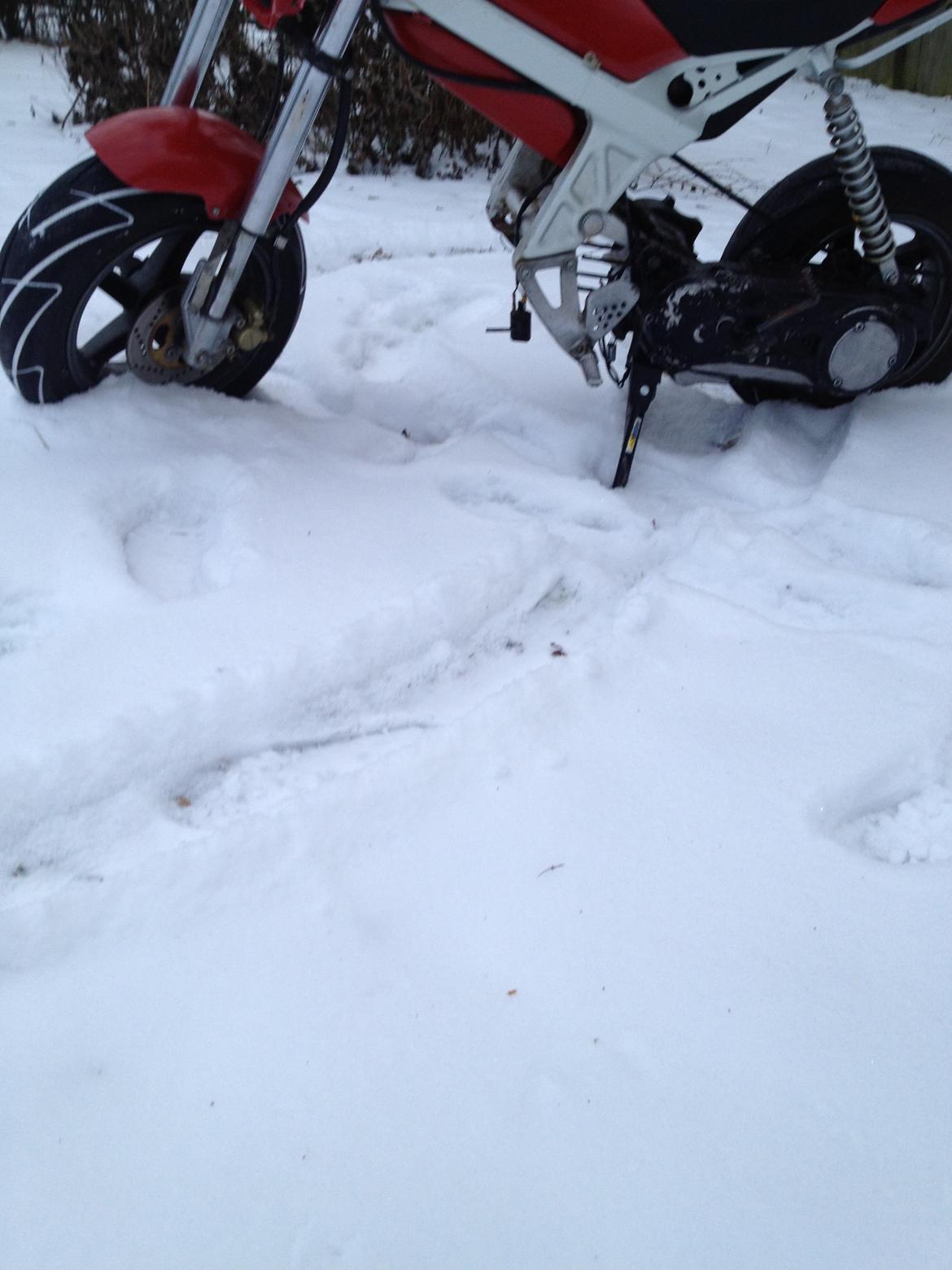 Suzuki Street magic [Tidl.scooter] billede 12