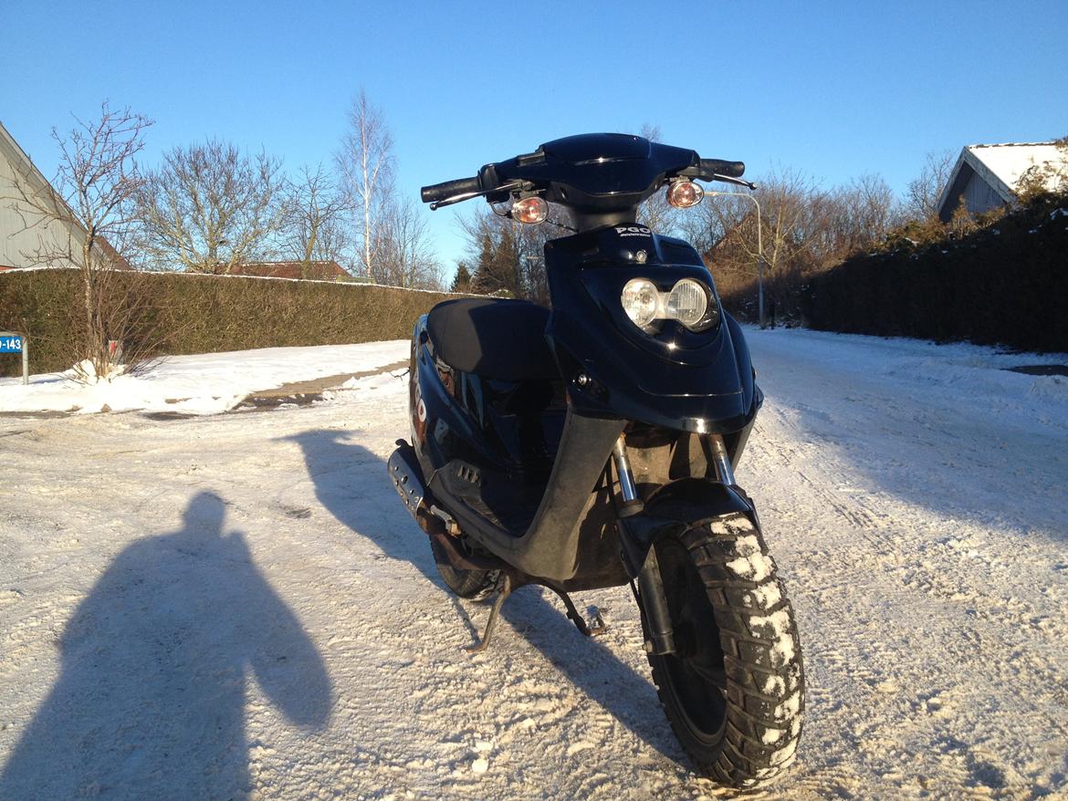 PGO Hot 50 billede 2