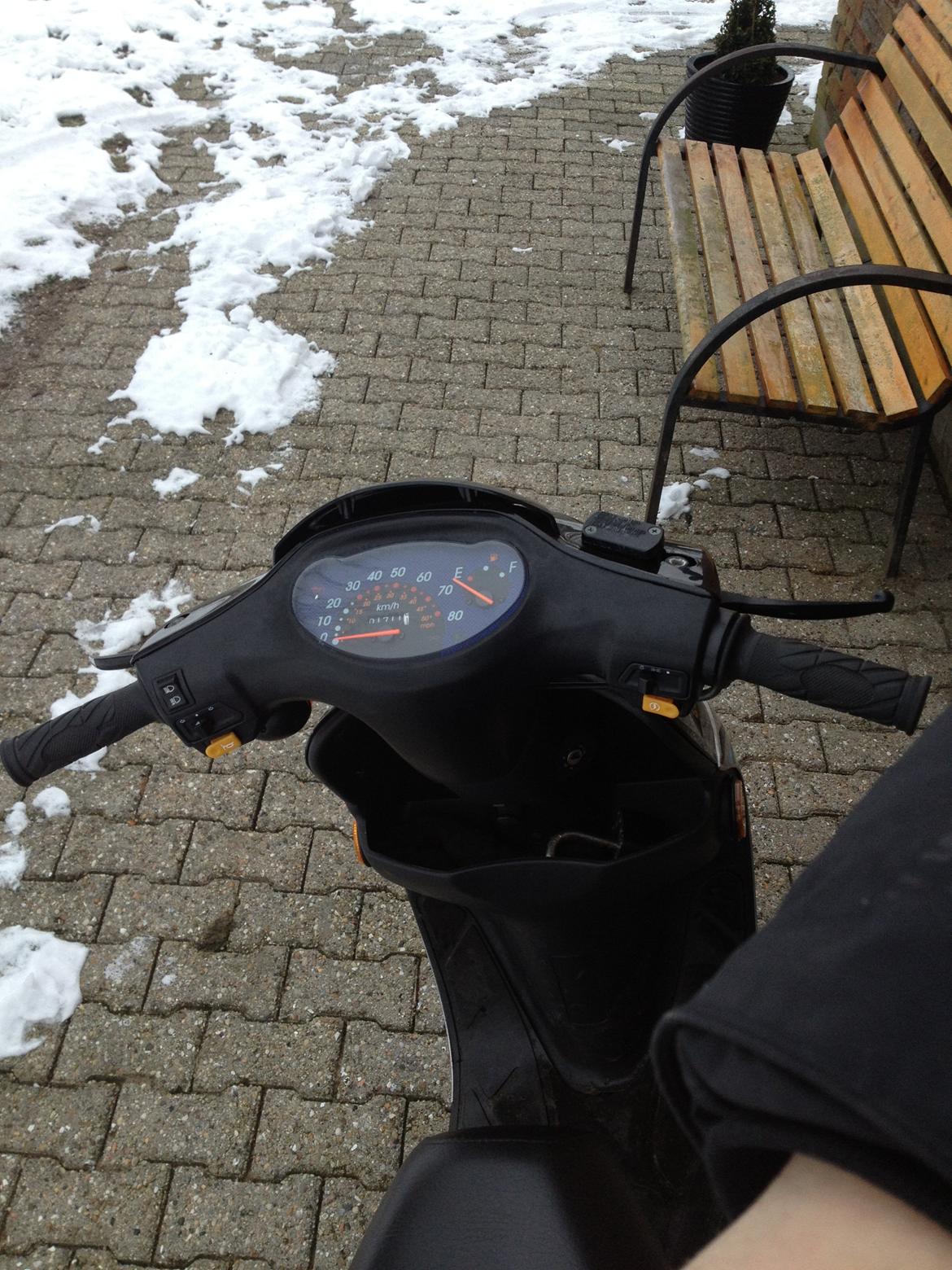 Leone Swan billede 8