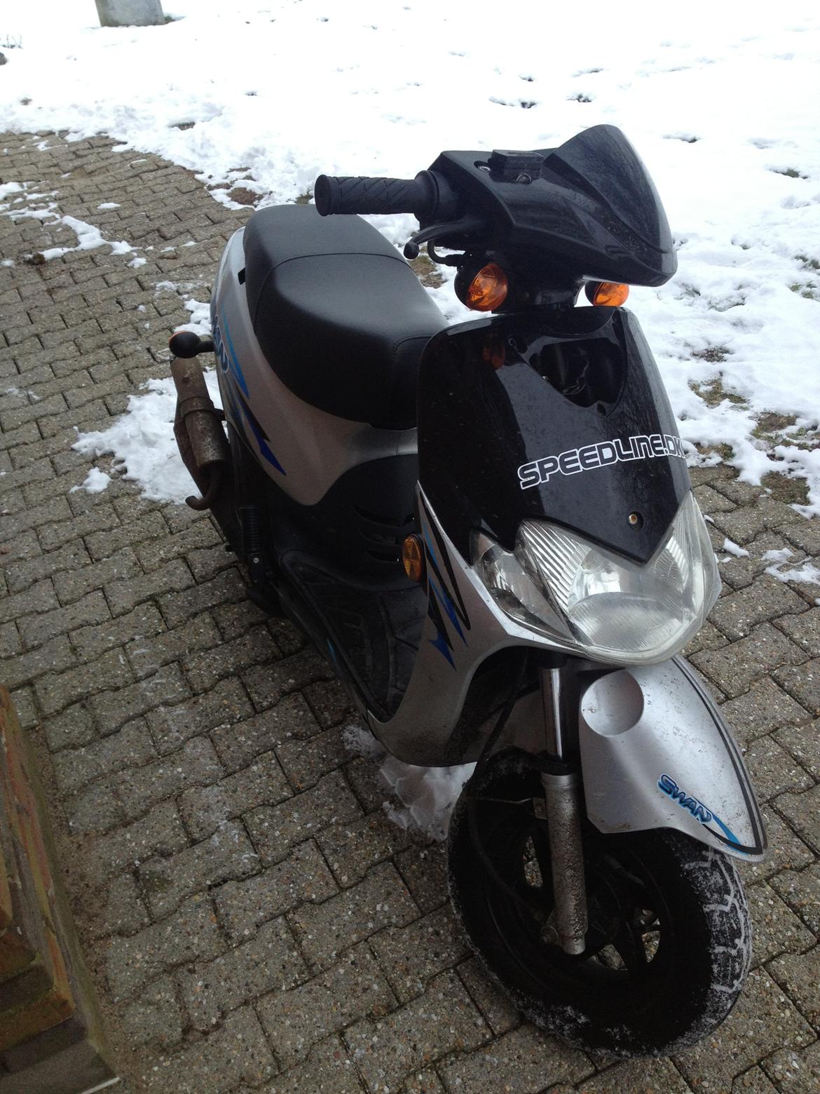 Leone Swan billede 5