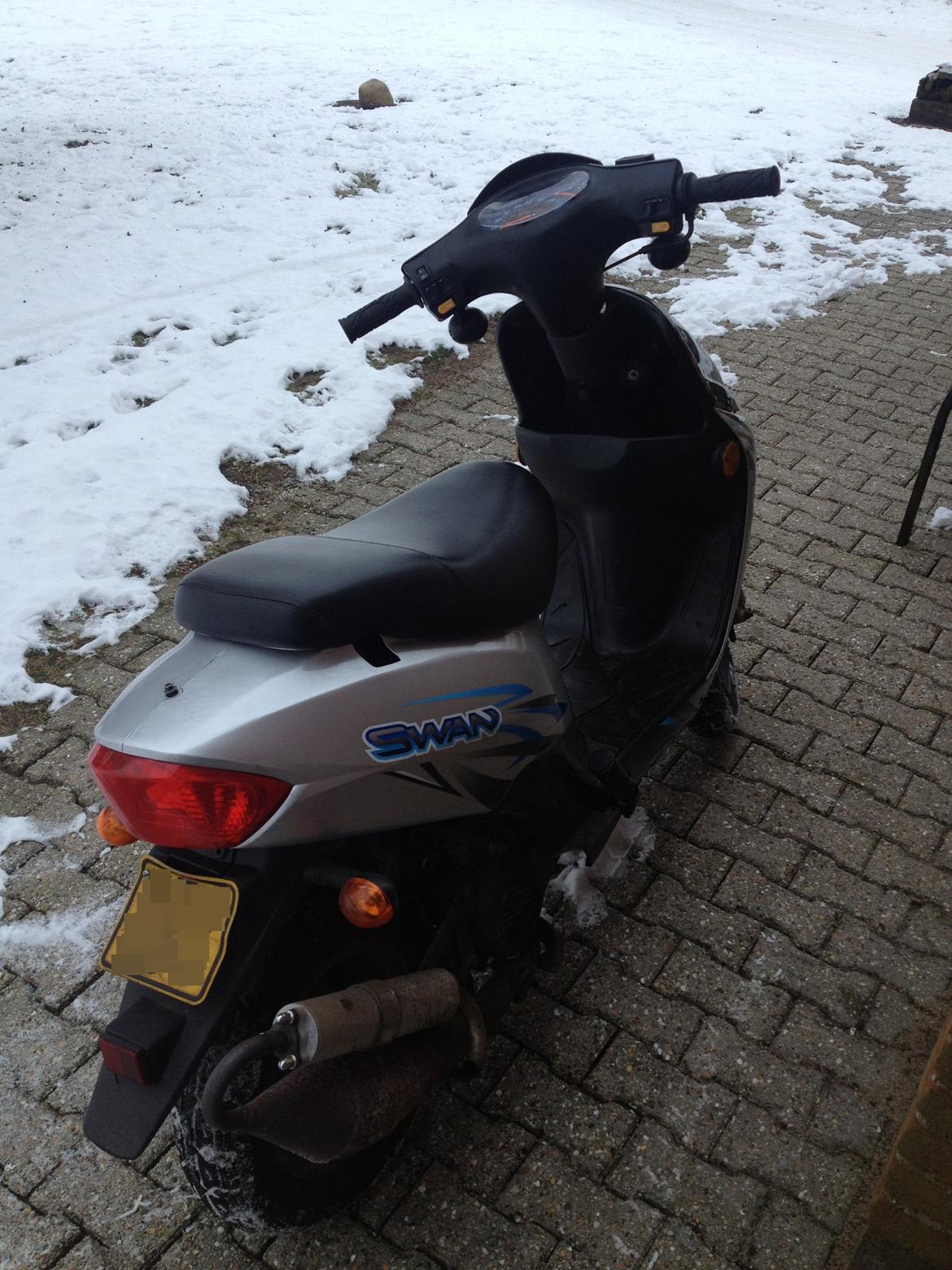 Leone Swan billede 7