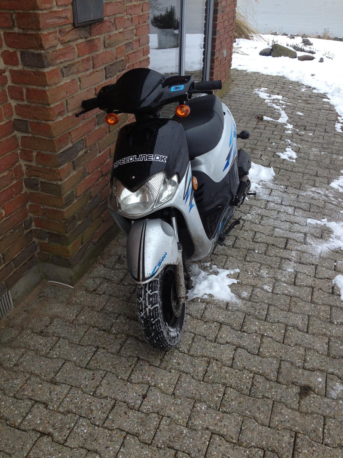 Leone Swan billede 4