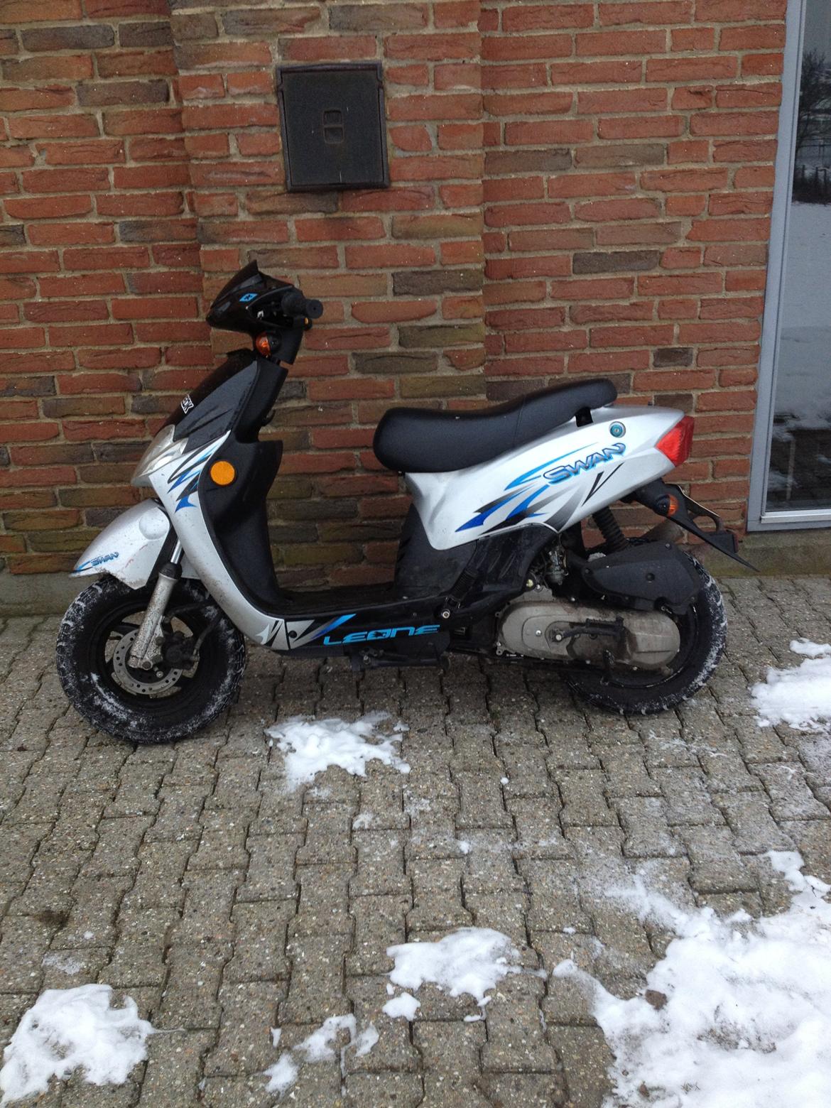 Leone Swan billede 1