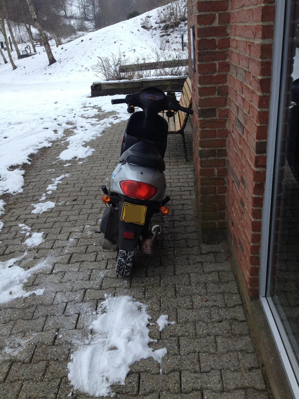 Leone Swan billede 6