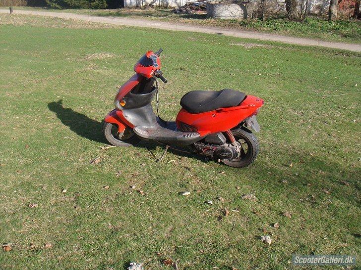 PGO Dr Big billede 5