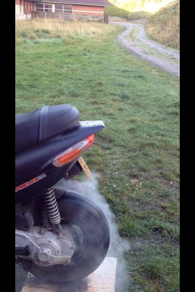 Gilera Stalker billede 7