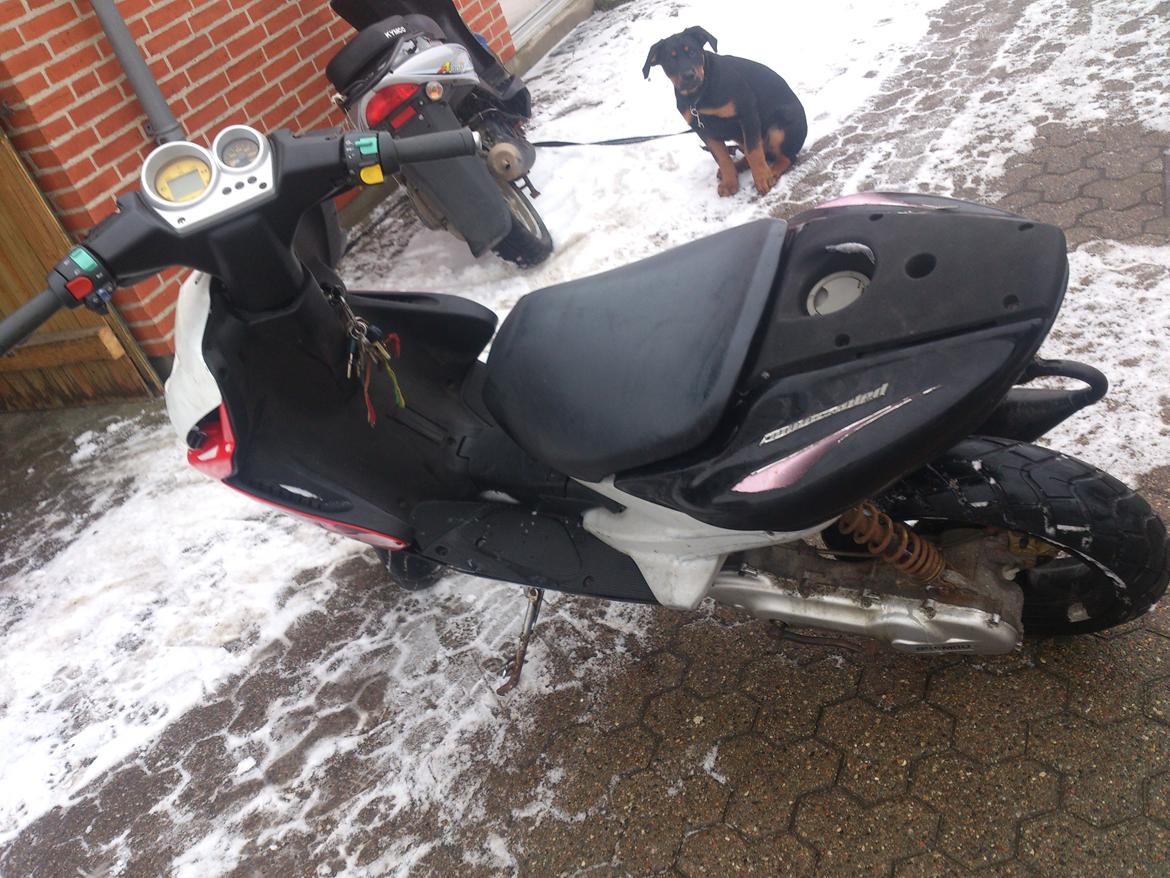 Yamaha Aerox billede 5