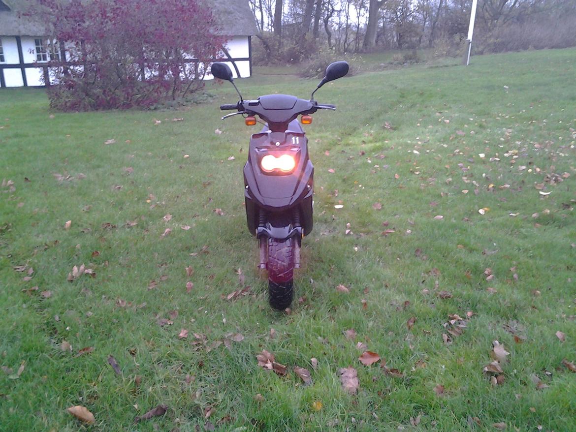 PGO Hot 50 billede 3