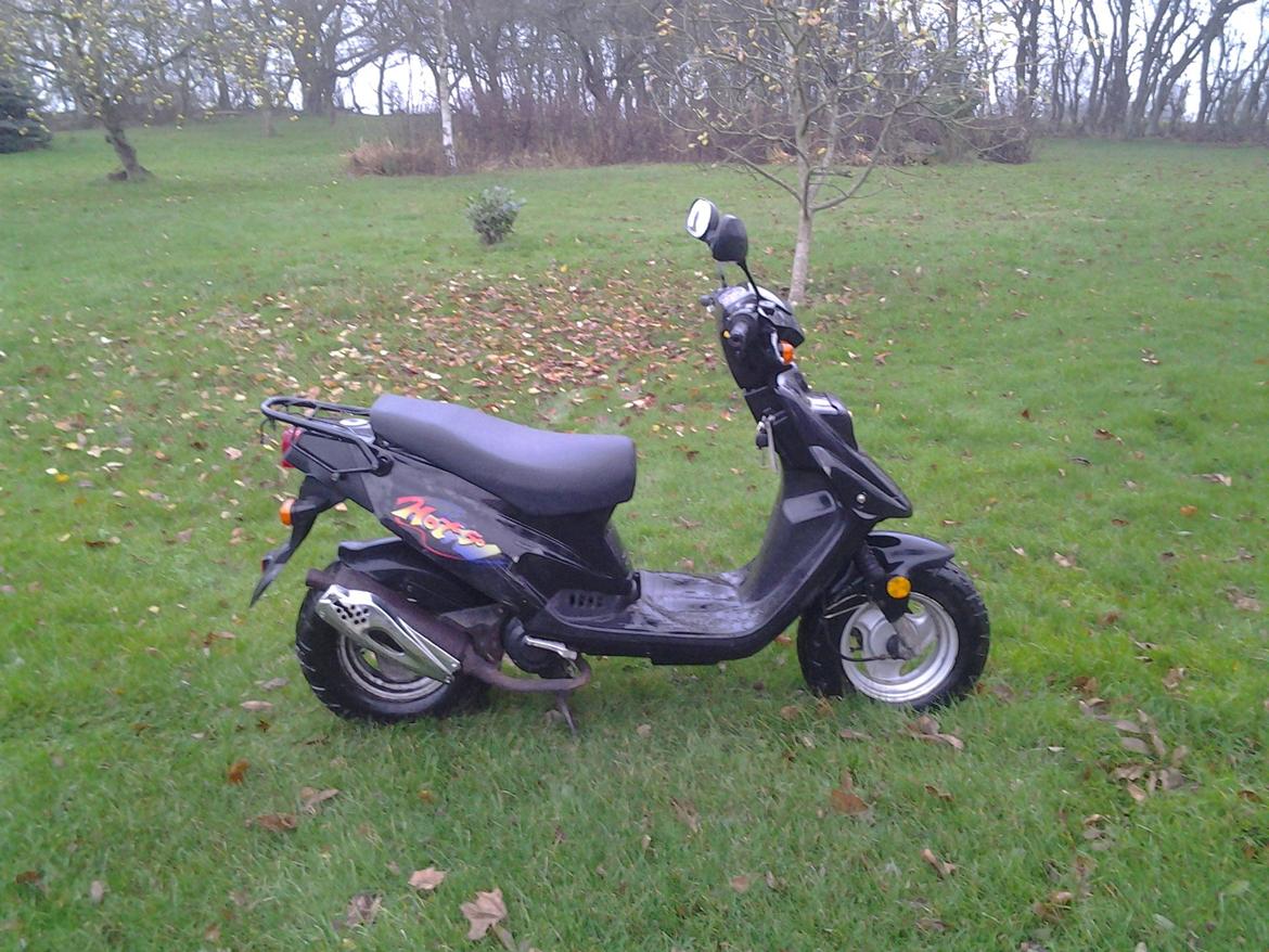 PGO Hot 50 billede 5