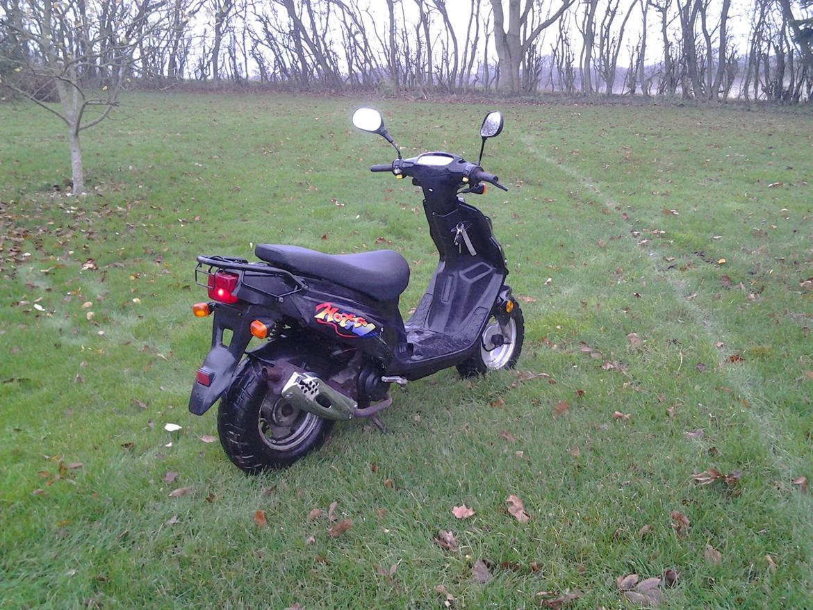 PGO Hot 50 billede 6