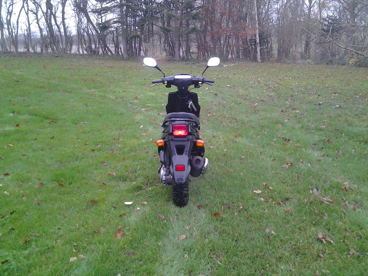 PGO Hot 50 billede 7