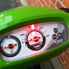 PGO Hot 50..