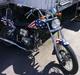 Regal Regal Raptor 50 ccm