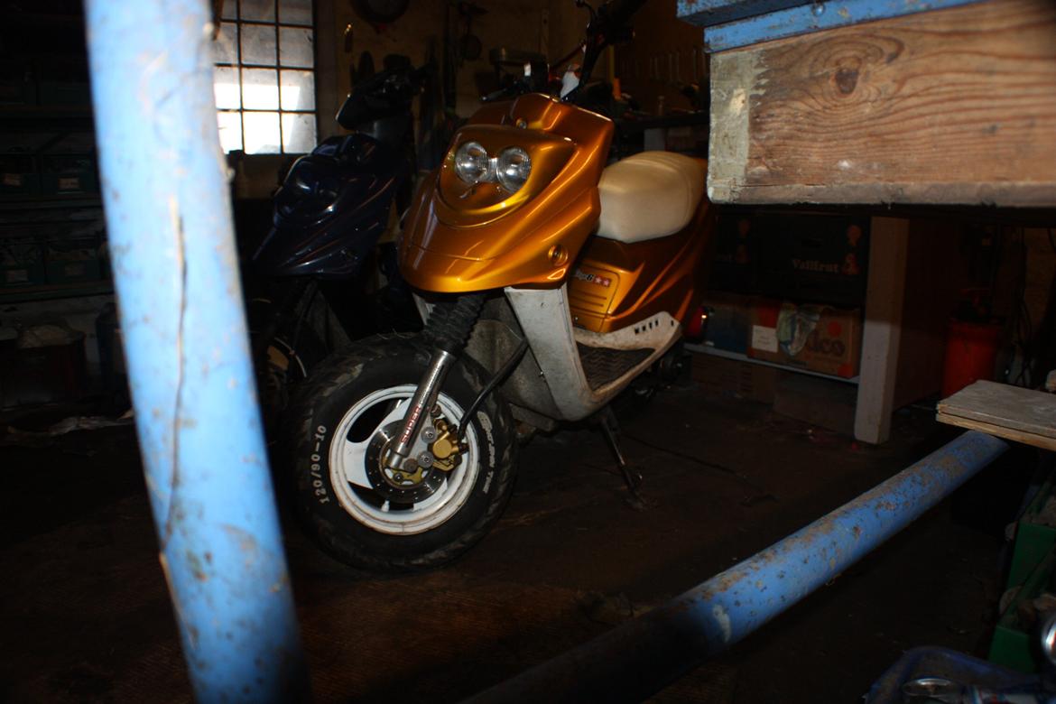 PGO Hot 'Æ hverdagsged billede 13