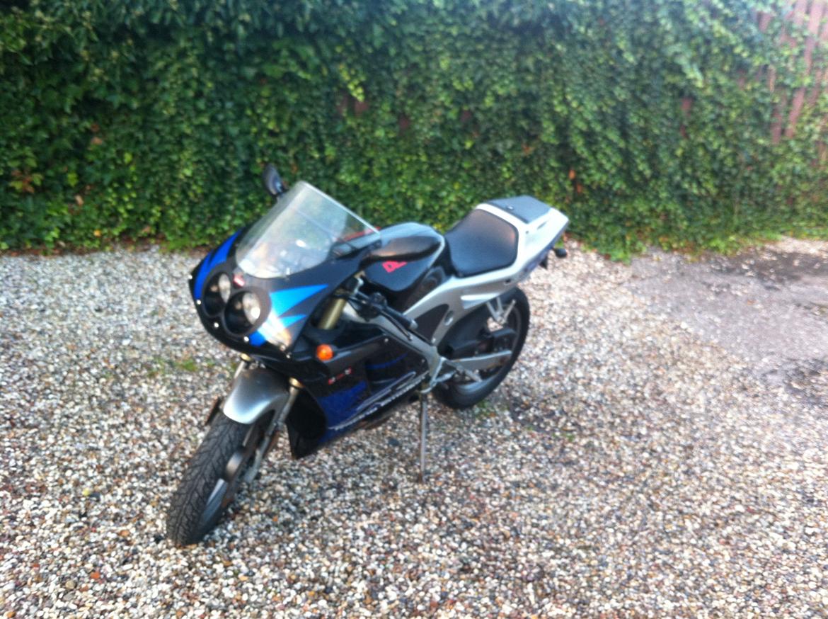 Derbi Gpr billede 5