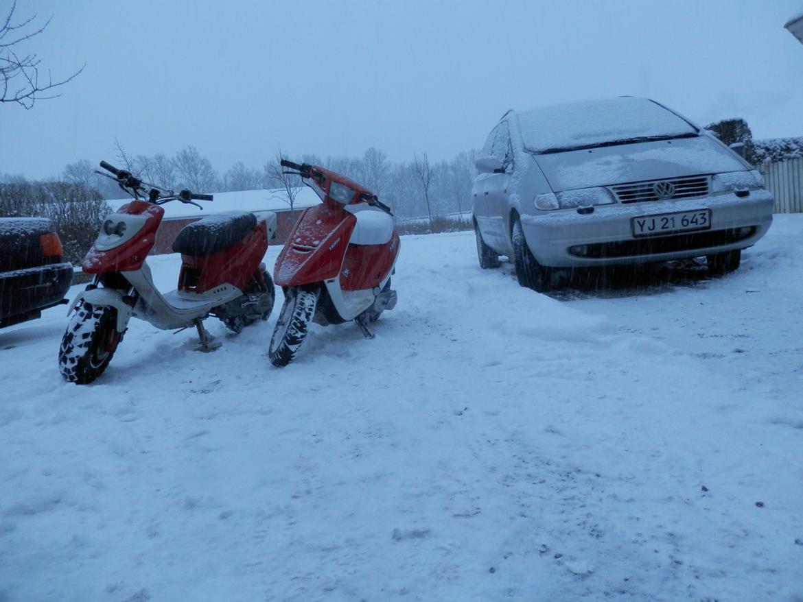 Yamaha Jog fs - De Danske farver :D billede 15