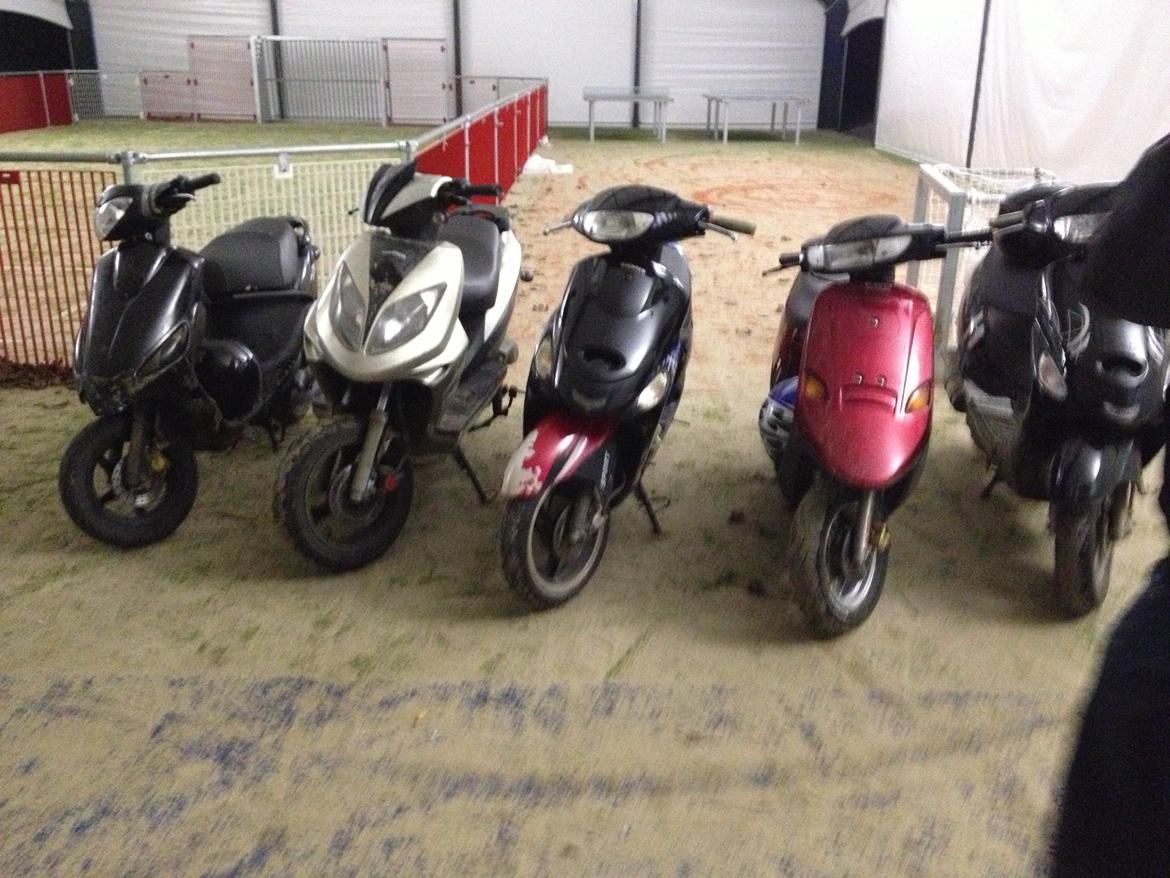 PGO Comet billede 10