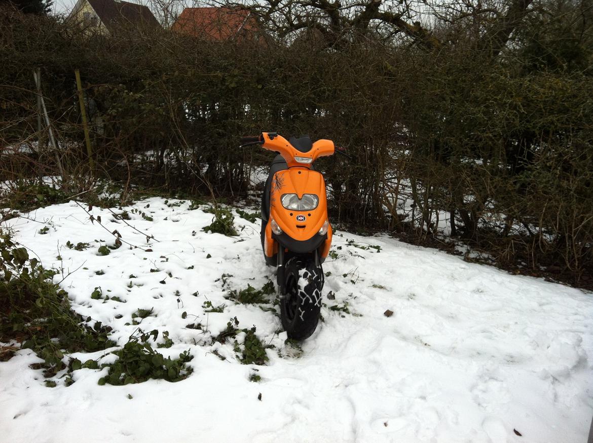 Gilera Stalker billede 14