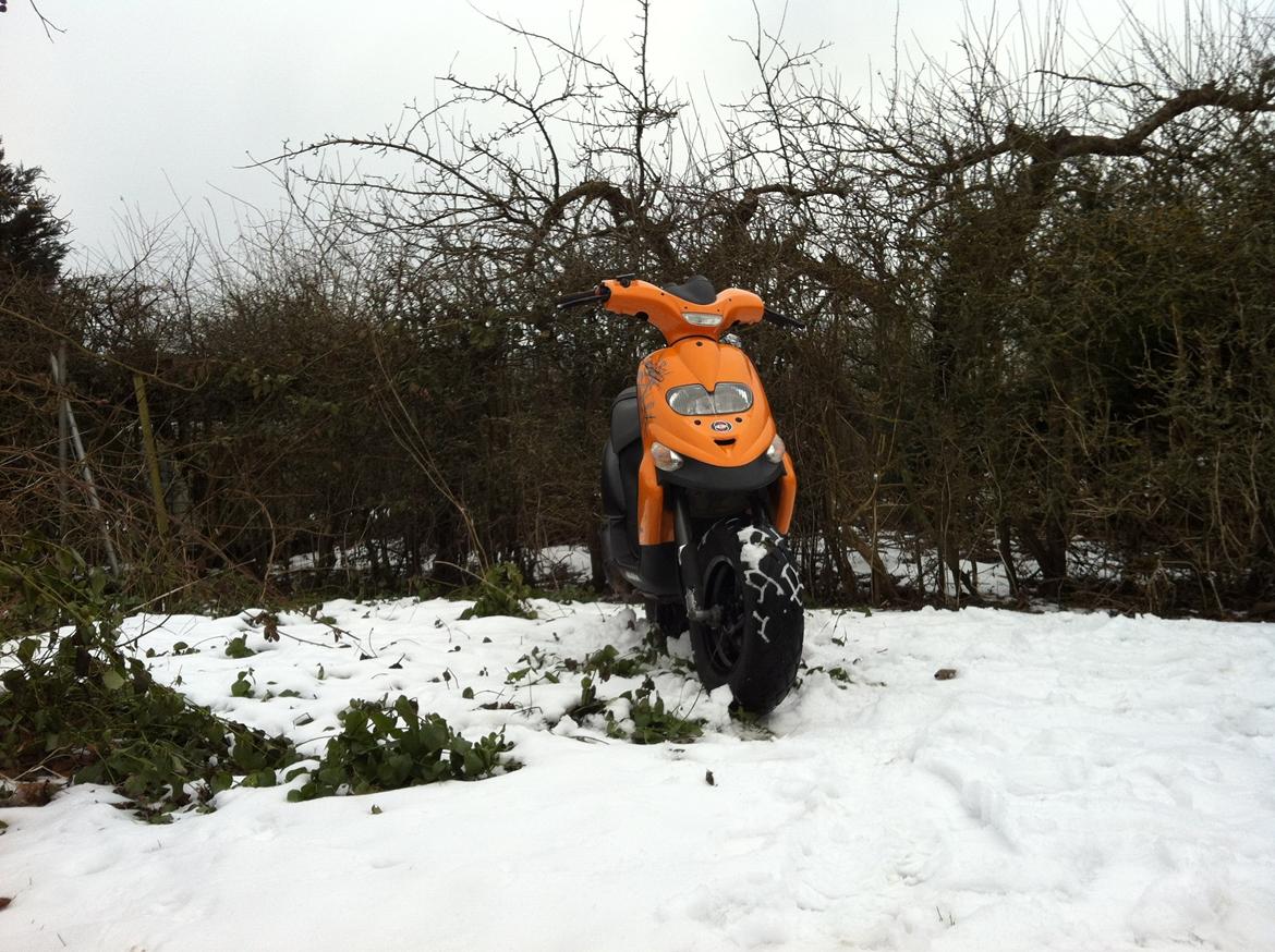 Gilera Stalker billede 15