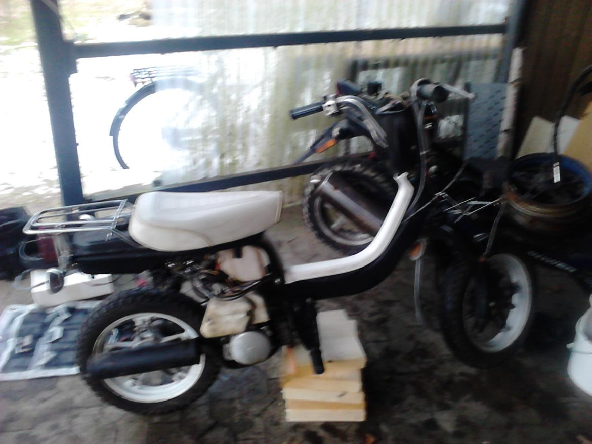 Suzuki Fz50 (tidliger) billede 2