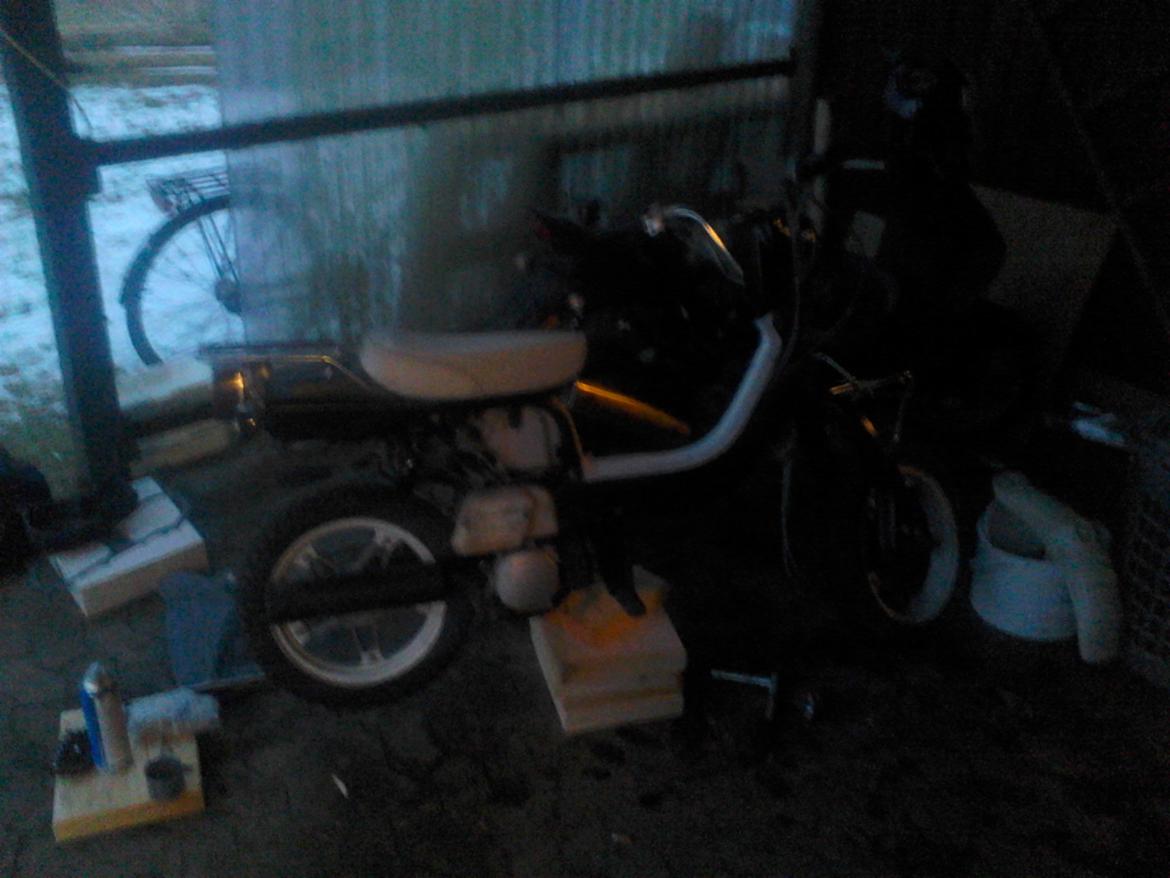 Suzuki Fz50 (tidliger) billede 5