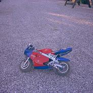 MiniBike Racing (solgt)