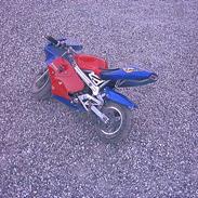 MiniBike Racing (solgt)