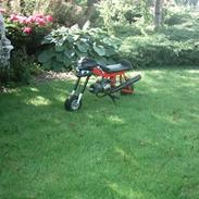 MiniBike maxibike