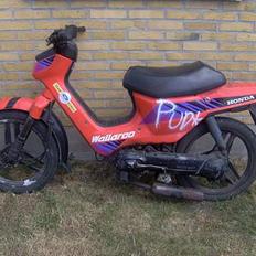 Honda wallaroo