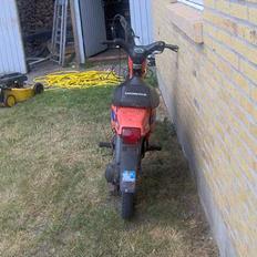Honda wallaroo