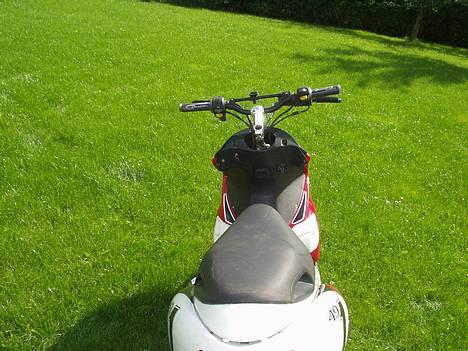 Benelli 491 ¤Solgt¤ billede 13