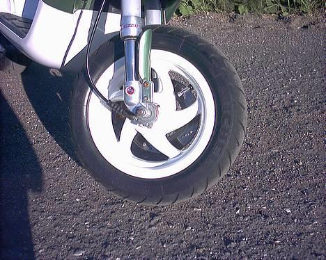 Piaggio Typhoon ¤Solgt¤ - 24 karats sølv ventilhæt, og poleret for støddæmpere. billede 10