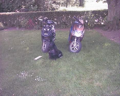 Yamaha Jog R LC under ombygning billede 10