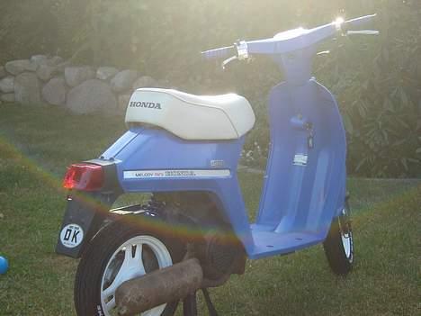 Honda Melody (SOLGT)-_- (SOLGT) billede 5