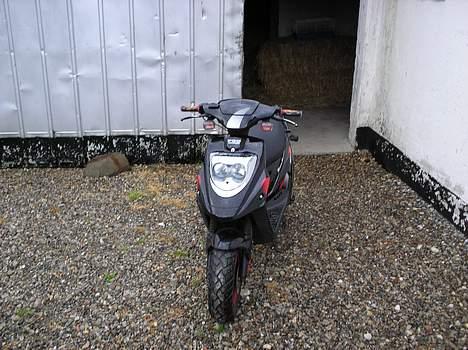 PGO Hot 50 - Billede af scooteren forfra billede 10