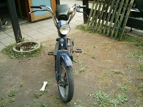 Piaggio Grillo projekt (solgt) billede 1