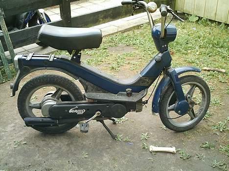 Piaggio Grillo projekt (solgt) billede 3