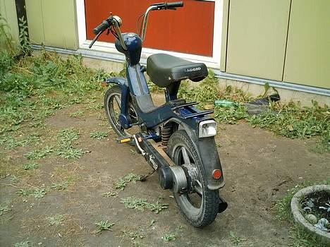 Piaggio Grillo projekt (solgt) billede 9