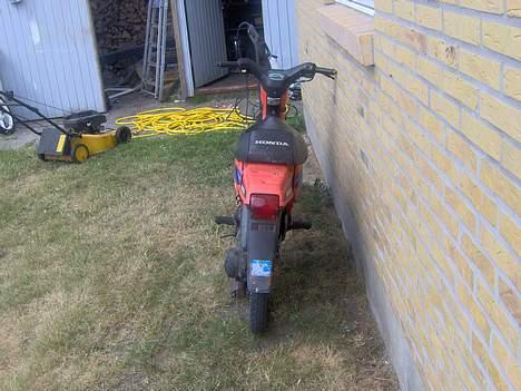 Honda wallaroo billede 2