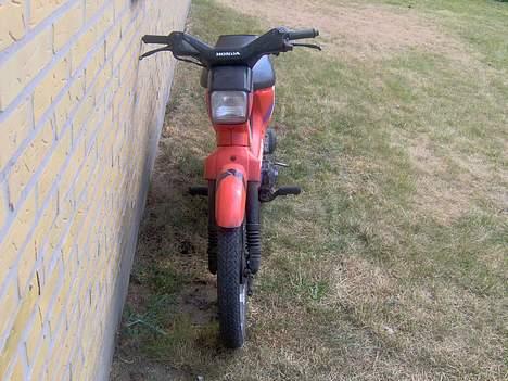 Honda wallaroo billede 3